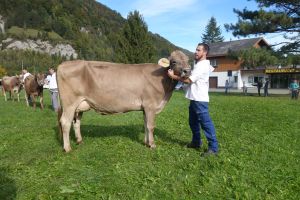 Schoeneutersiegerin Mittlere Nescardo Noemi Furrer J. Rietli